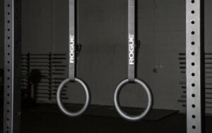 rogue fitness gymnastic rings