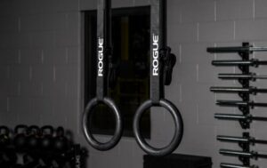 rogue fitness gymnastic rings